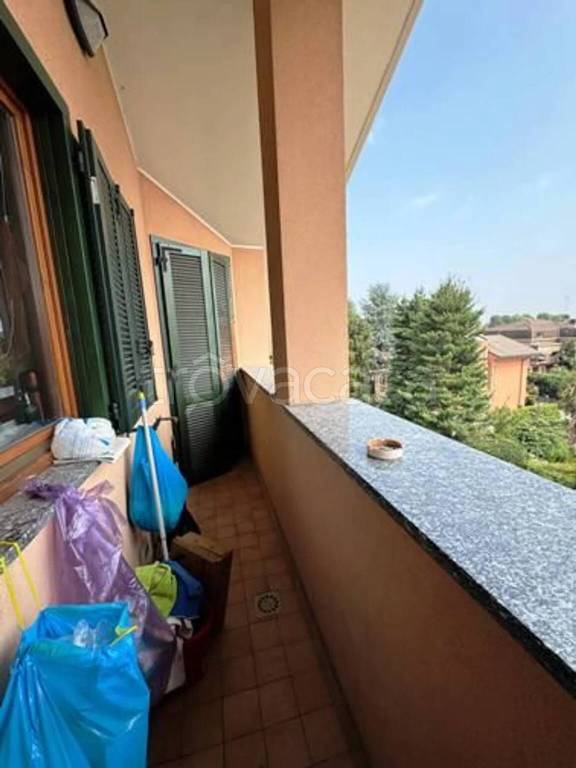 immagine annuncio 6 di 14