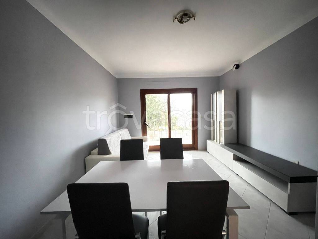 immagine annuncio 11 di 14