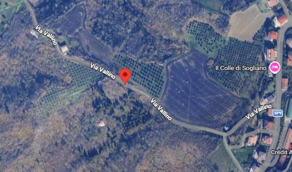 immagine annuncio 8 di 11