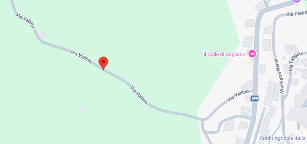 immagine annuncio 7 di 11