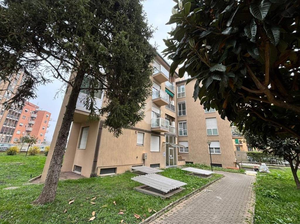 immagine annuncio 1 di 15