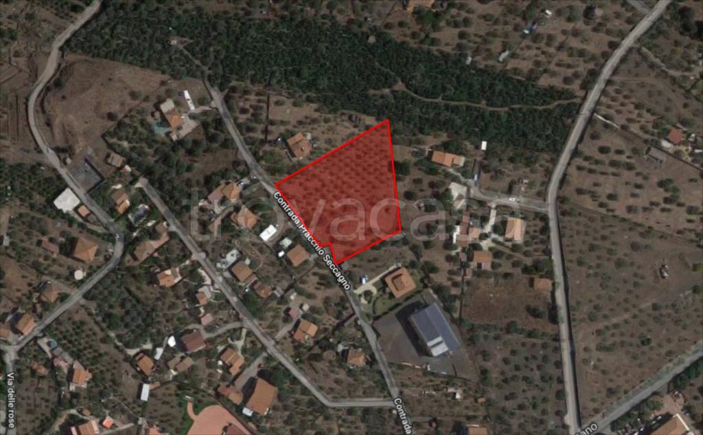 immagine annuncio 11 di 12