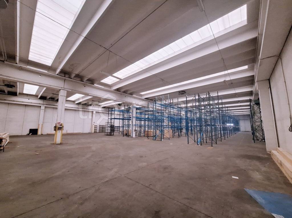 immagine annuncio 9 di 11