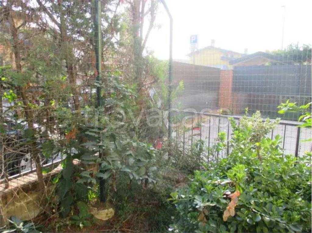 immagine annuncio 9 di 14