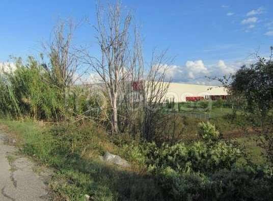 immagine annuncio 6 di 14