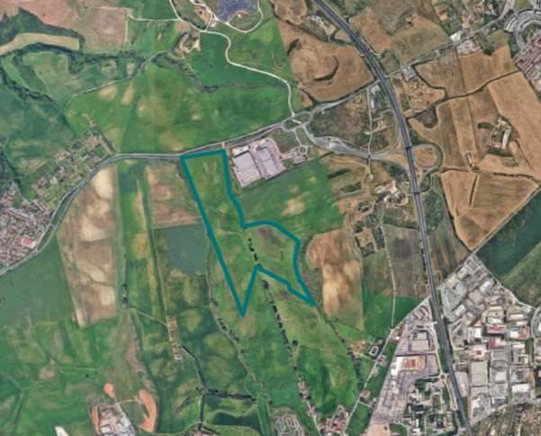 immagine annuncio 12 di 14