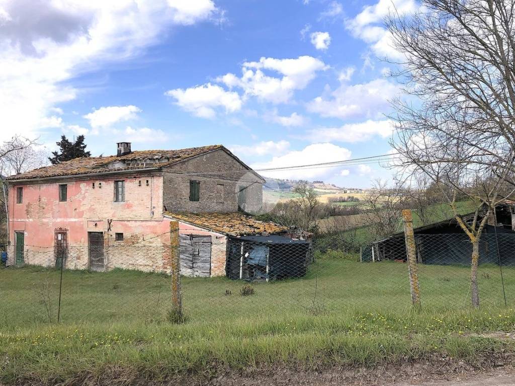 immagine annuncio 1 di 8