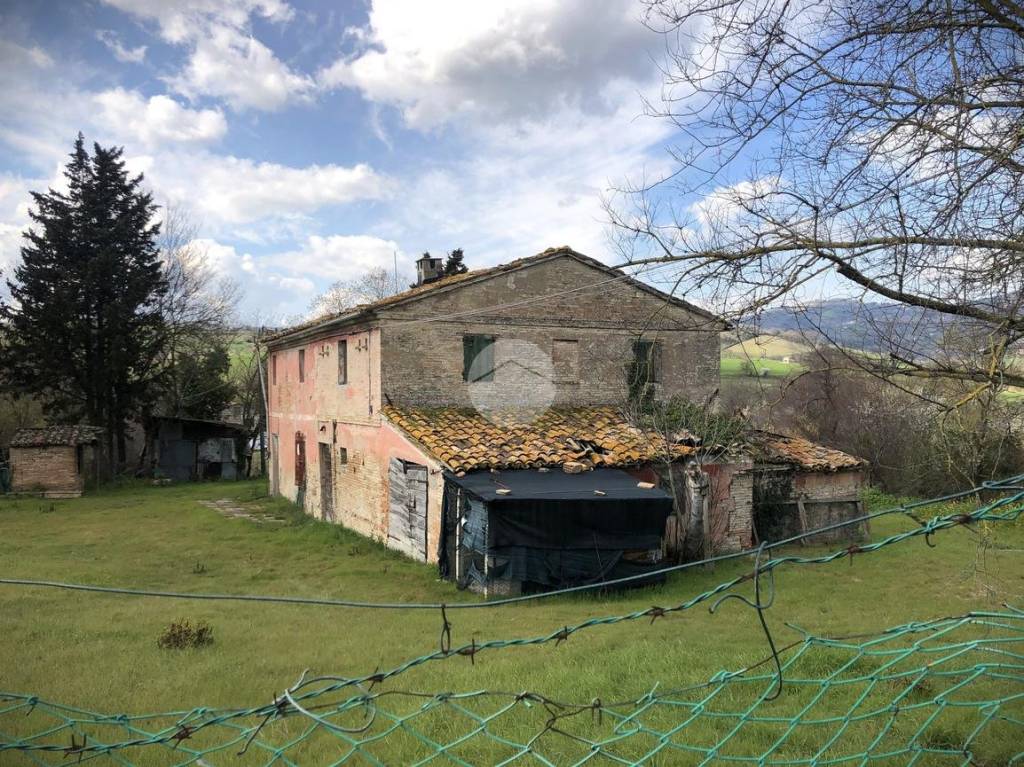 immagine annuncio 2 di 8