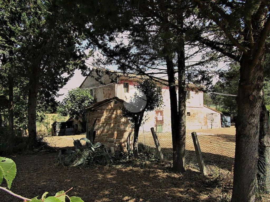 immagine annuncio 4 di 8