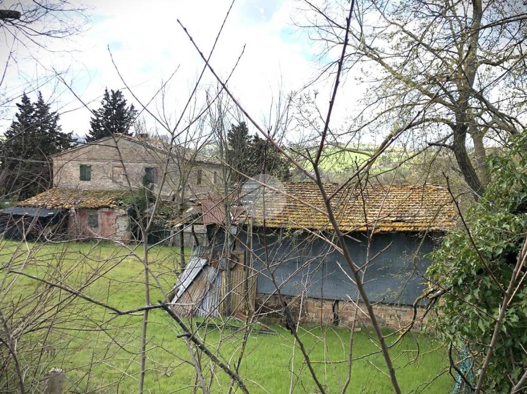 immagine annuncio 5 di 8