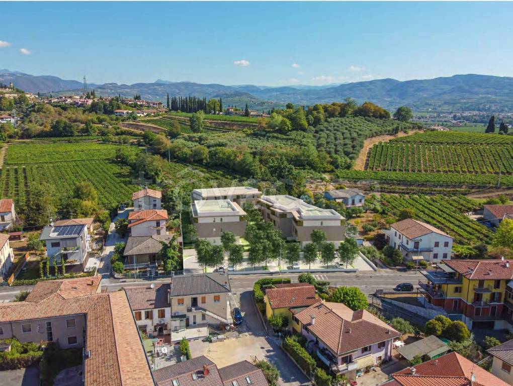 immagine annuncio 7 di 9