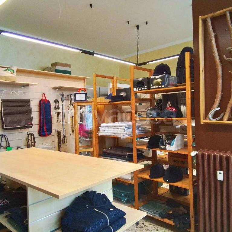 immagine annuncio 2 di 7