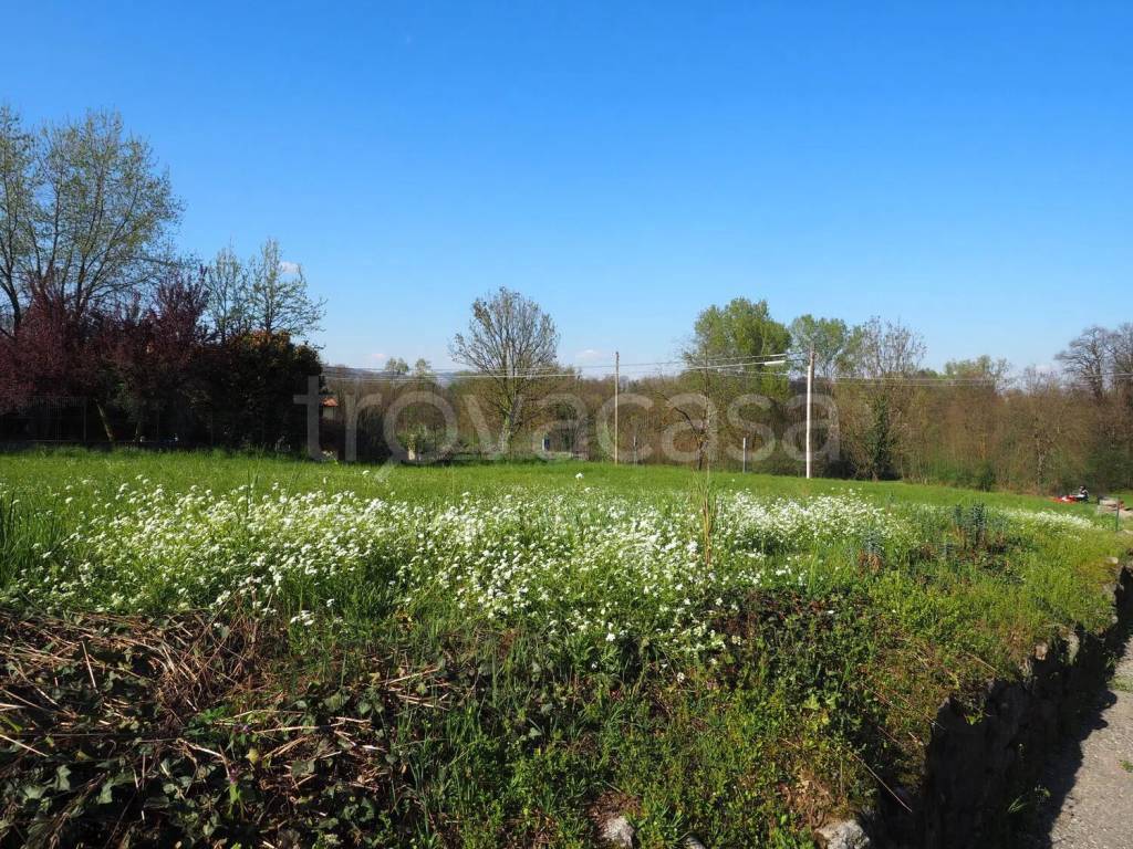 immagine annuncio 3 di 13