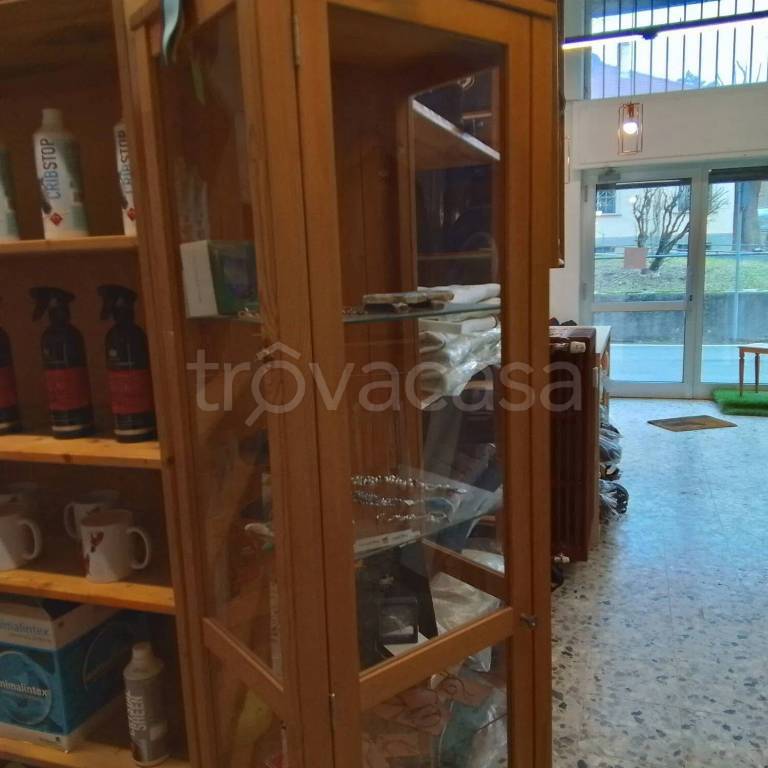 immagine annuncio 3 di 7