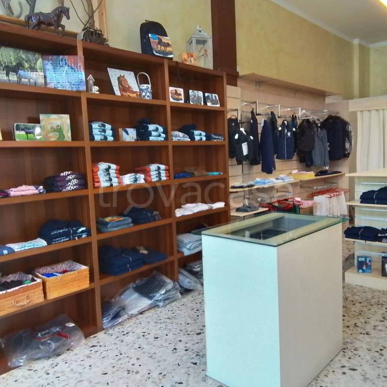 immagine annuncio 4 di 7