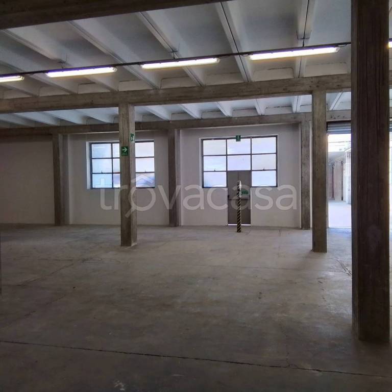 immagine annuncio 3 di 8