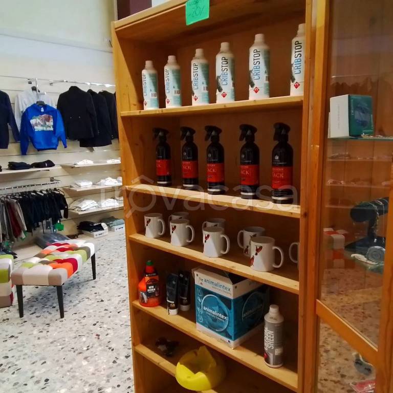 immagine annuncio 4 di 14