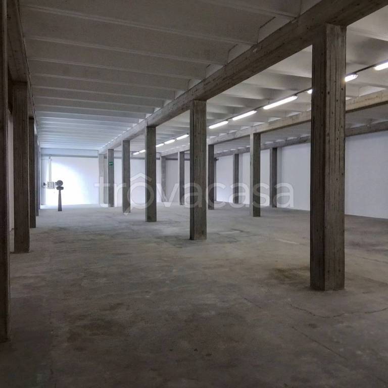 immagine annuncio 4 di 8