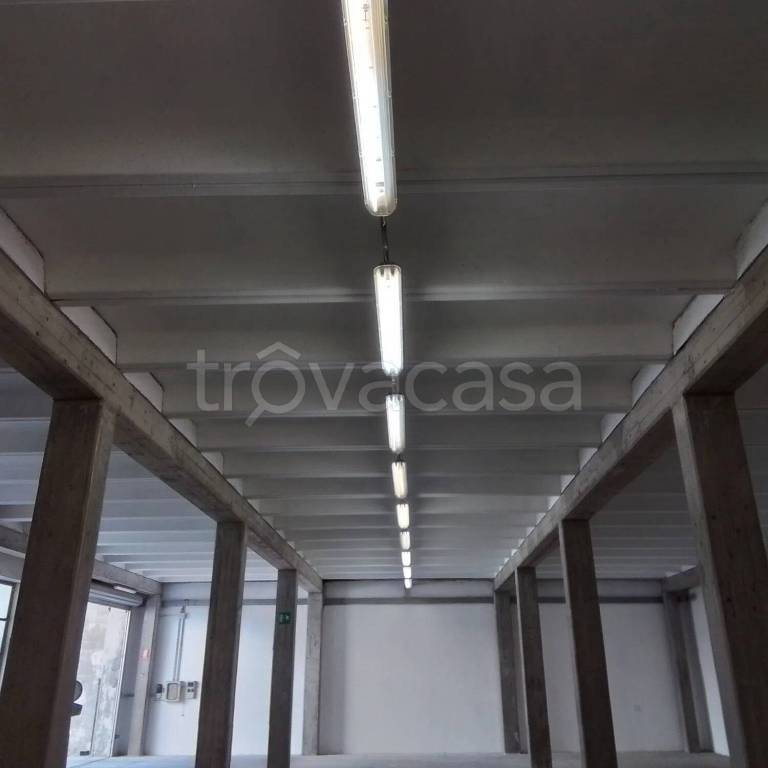 immagine annuncio 5 di 8