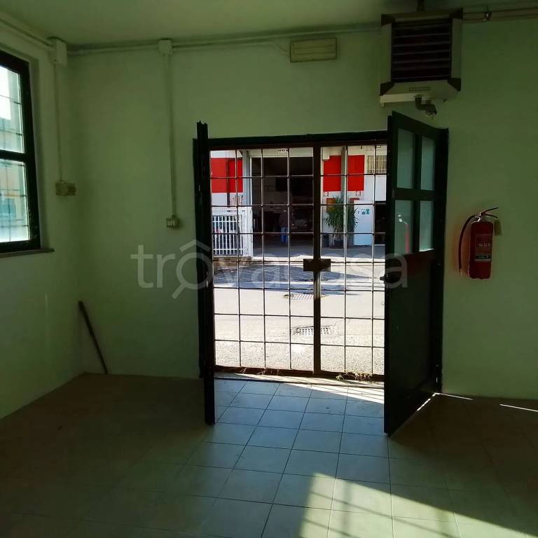 immagine annuncio 2 di 11