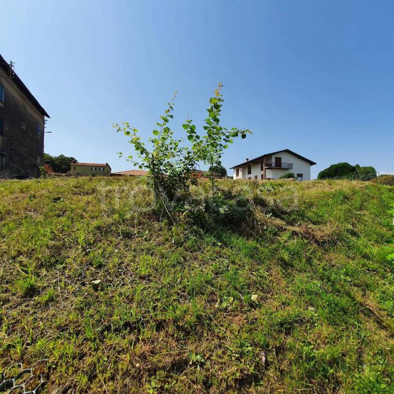 immagine annuncio 8 di 13