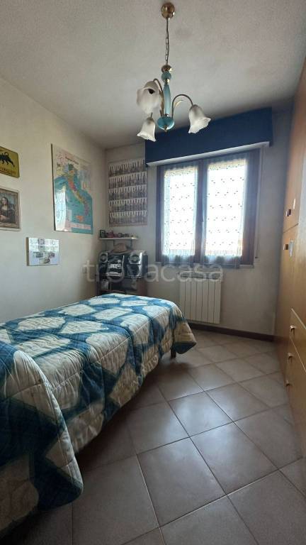 immagine annuncio 11 di 14