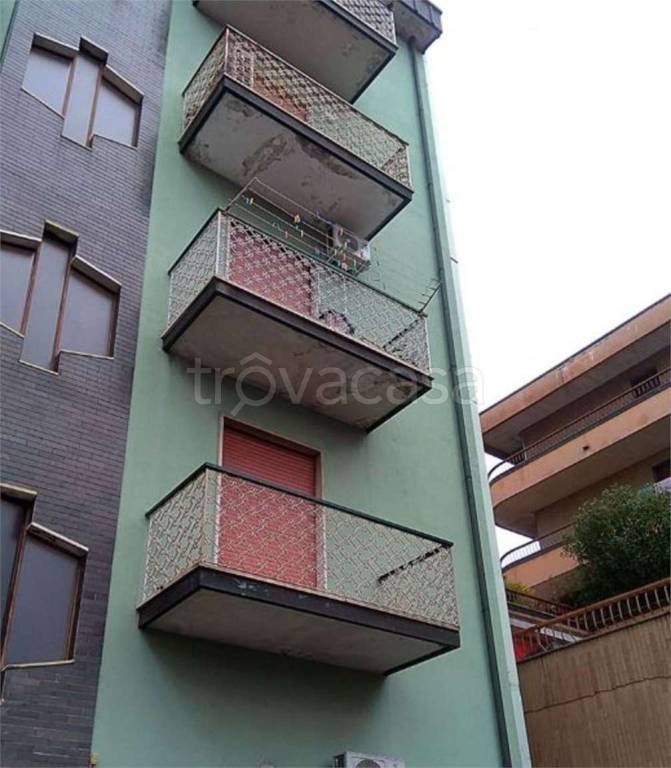 immagine annuncio 4 di 14