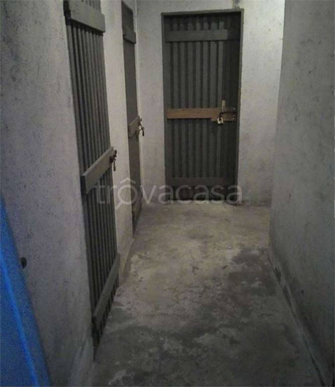 immagine annuncio 11 di 14