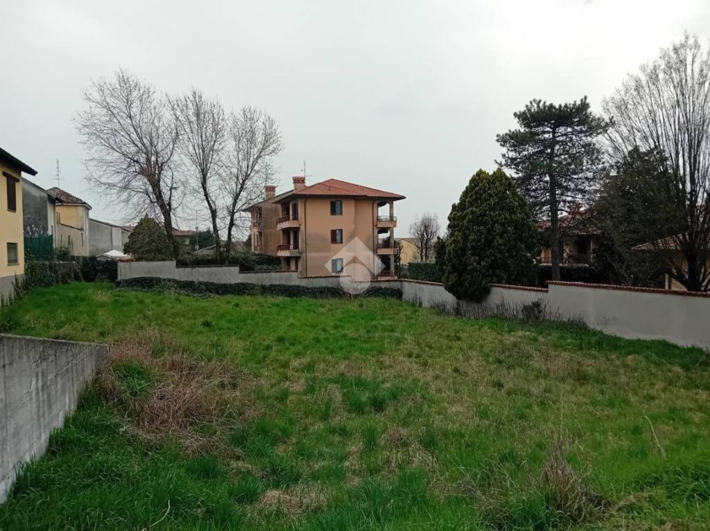 immagine annuncio 3 di 11