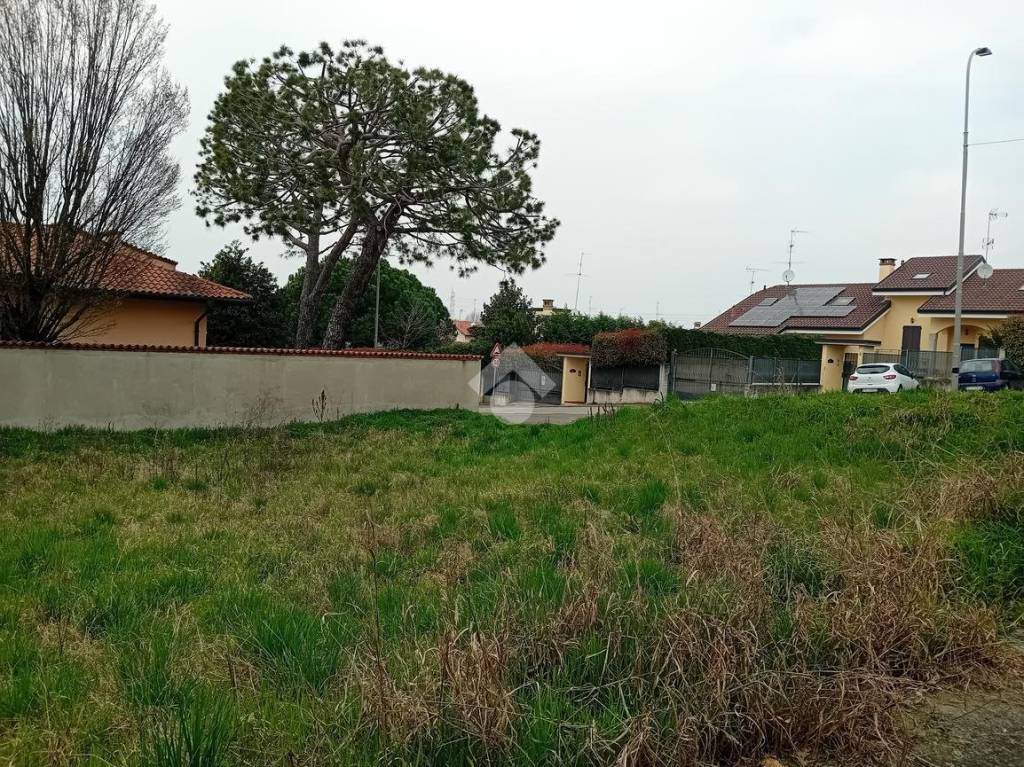 immagine annuncio 5 di 11