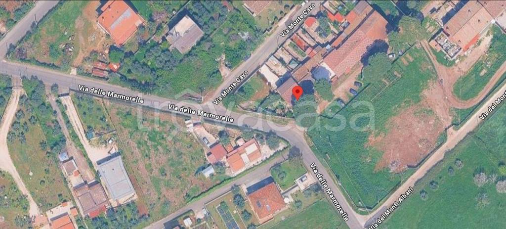 immagine annuncio 11 di 13