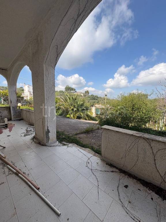 immagine annuncio 10 di 14