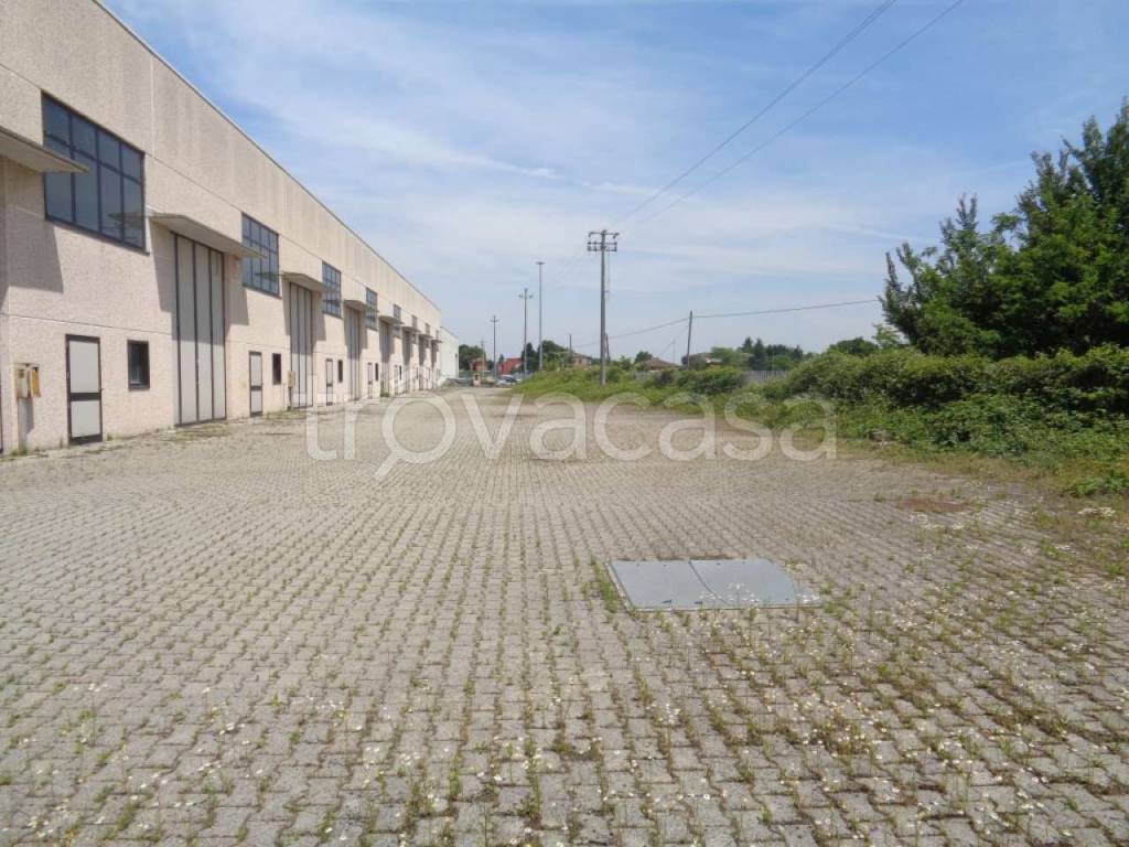 immagine annuncio 6 di 15