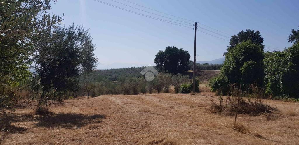 immagine annuncio 1 di 6