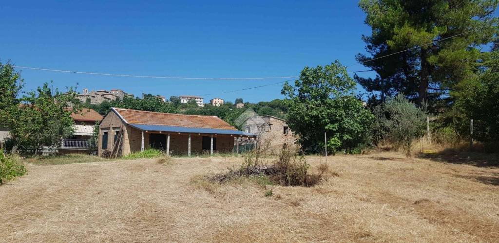 immagine annuncio 2 di 6