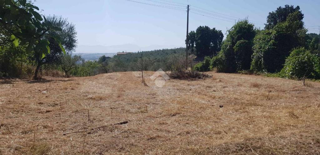 immagine annuncio 4 di 6