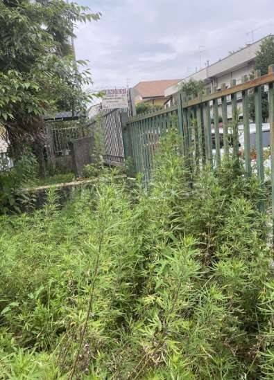 immagine annuncio 2 di 14