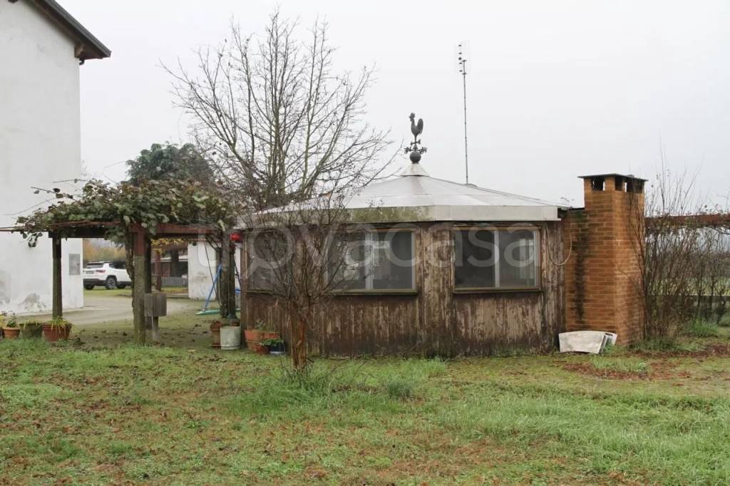 immagine annuncio 5 di 15