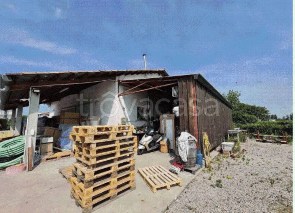 immagine annuncio 1 di 8