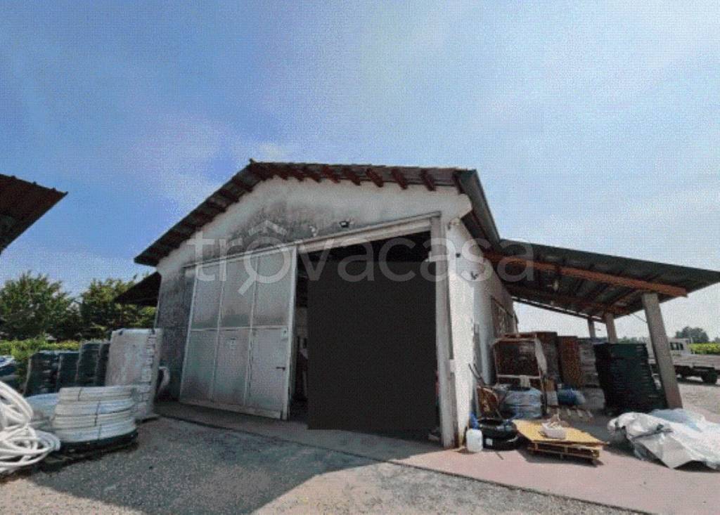 immagine annuncio 2 di 8