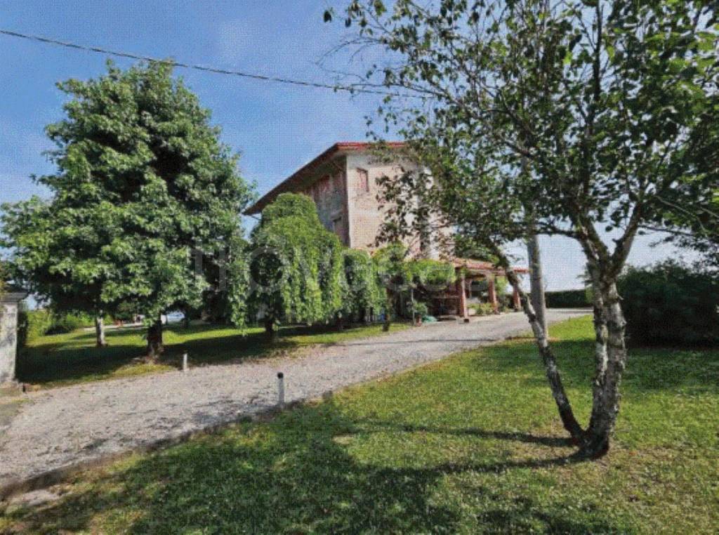 immagine annuncio 5 di 8