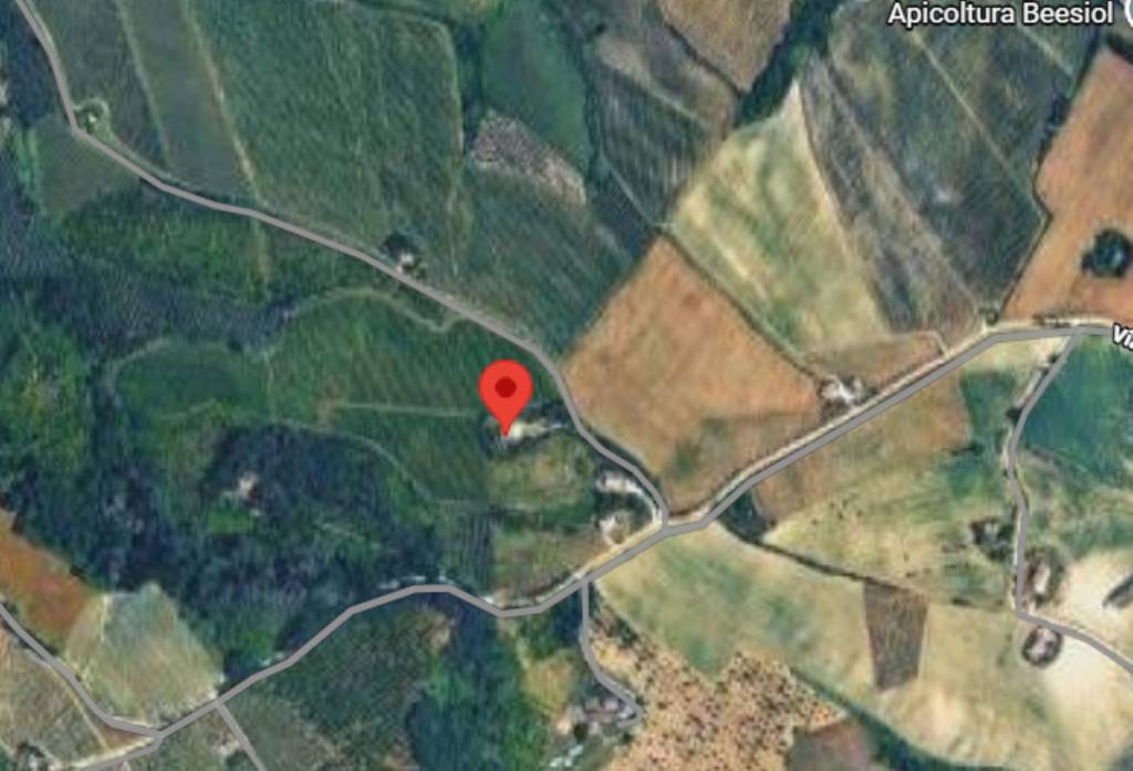 immagine annuncio 5 di 12