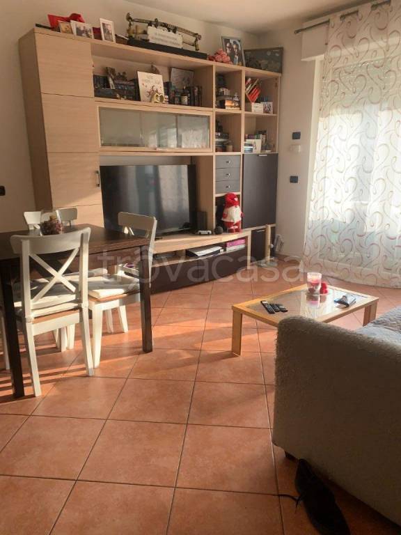 immagine annuncio 9 di 15