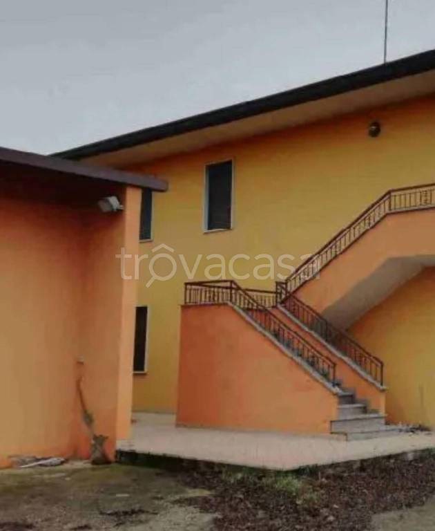 immagine annuncio 4 di 11