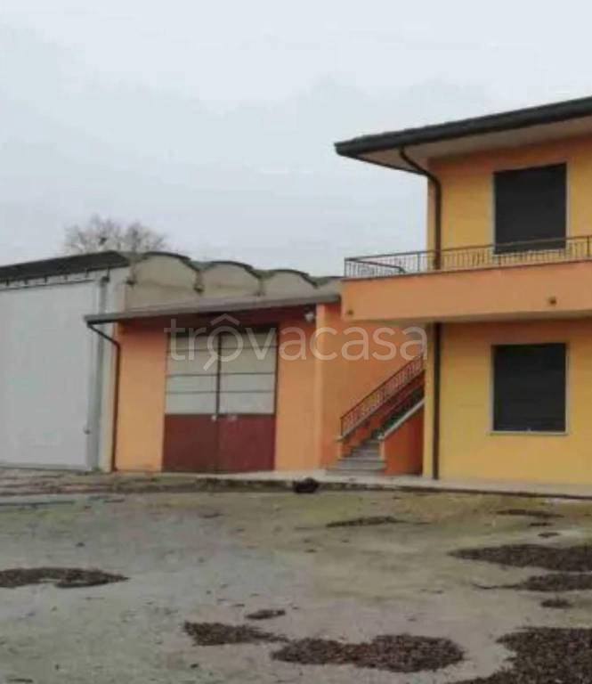 immagine annuncio 6 di 11