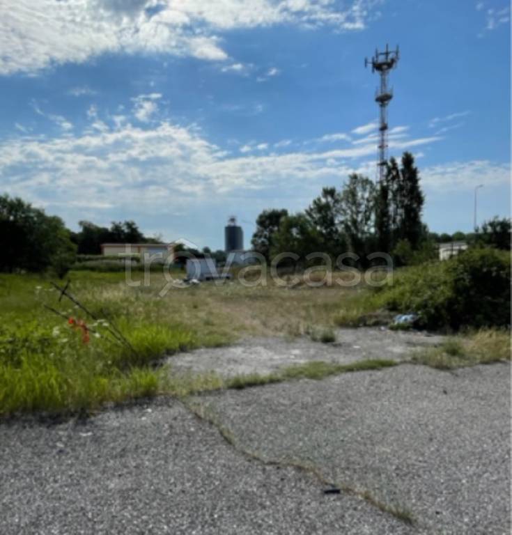 immagine annuncio 1 di 14