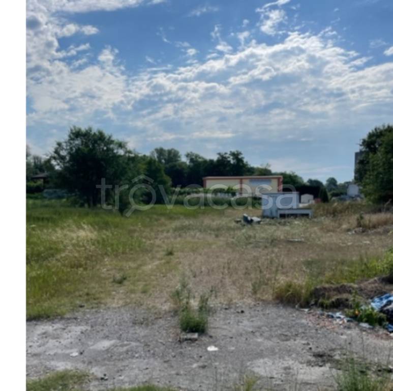 immagine annuncio 2 di 14