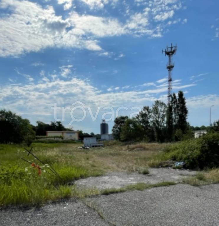 immagine annuncio 3 di 14