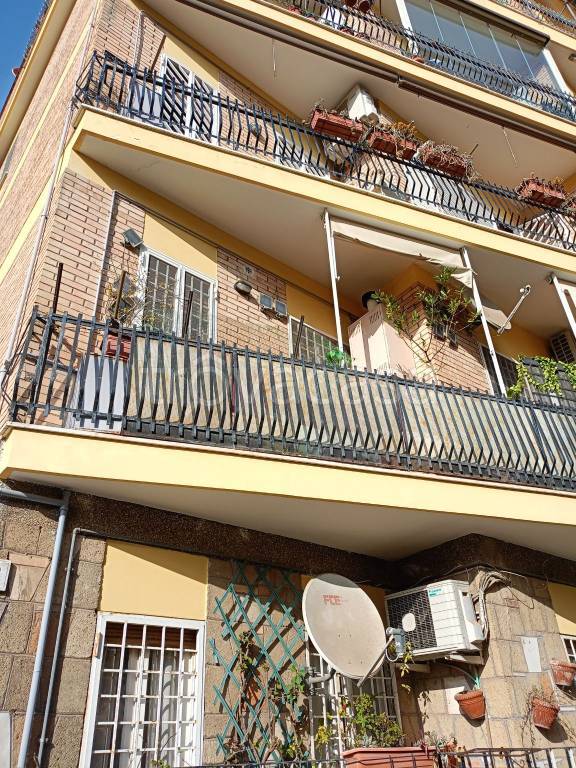 immagine annuncio 5 di 8