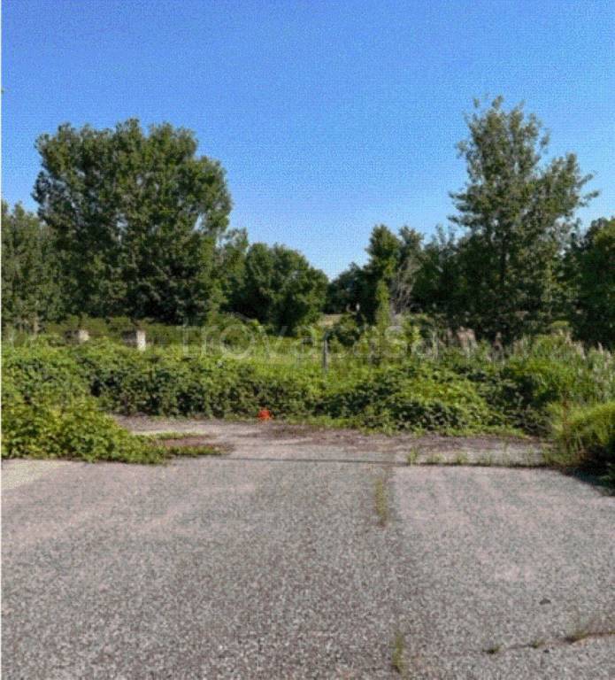 immagine annuncio 8 di 12